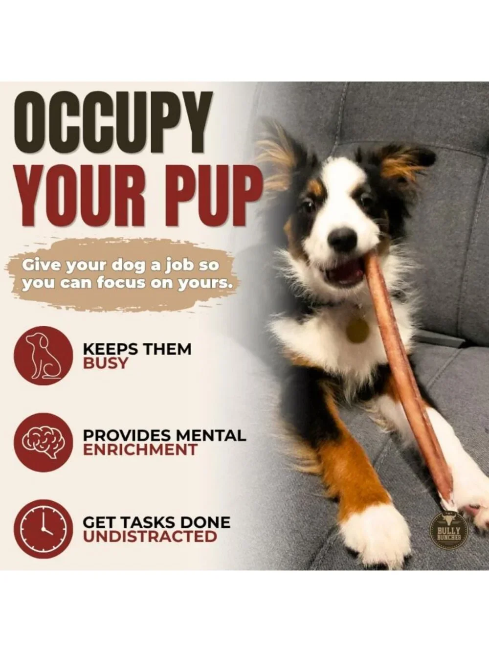 Premium Odor-Free Bully Sticks 12